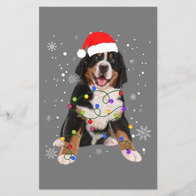 Papier Berese Mountain Dog Lights Christmas Matching Fam (Devant)
