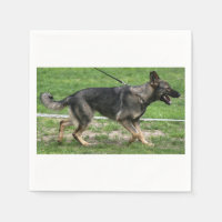 berger allemand sable promenant Serviette en papie