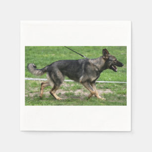 Papier berger allemand sable promenant Serviette en papie