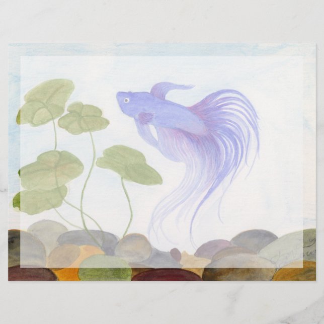 Papier Bêta bleu (Devant)