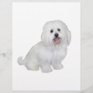 Papier Bichon havanais (blanc)