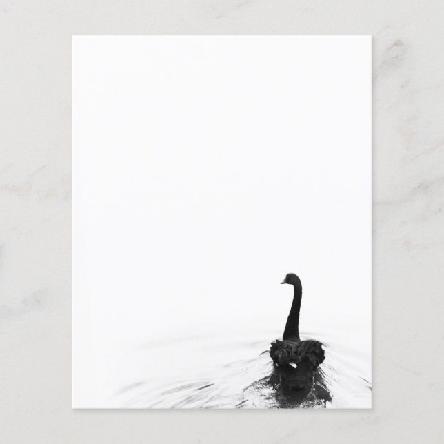 Papier Black & White Elegant Black Swan (Devant)