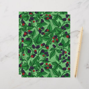 Papier Blackberry en vert