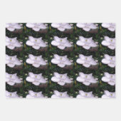 Papier blanc à enveloppement de Magnolia Jeu de 3  (Devant 3)