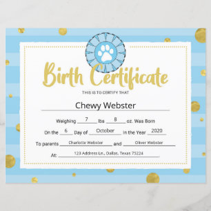 Papier Bleu Chien Paw Clip Art Chiot Certificat de naissa