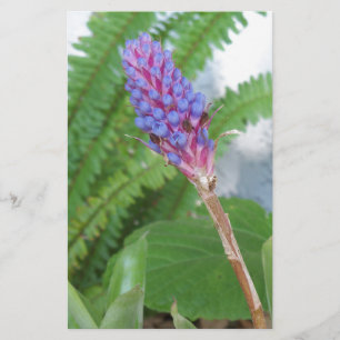 Papier Bleu cône fleur bromélique