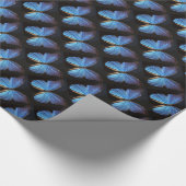 Papier bleu d'emballage cadeau de papillon (Coin)