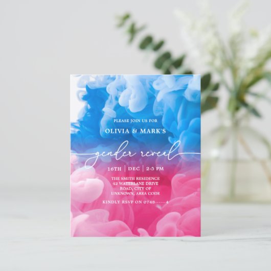 Papier Bleu et rose Fumée Budget Bébé Genre Révélation (Debout devant)