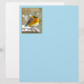 Papier Bleuet de l'Est en neige - Photo originale (Devant / Derrière)