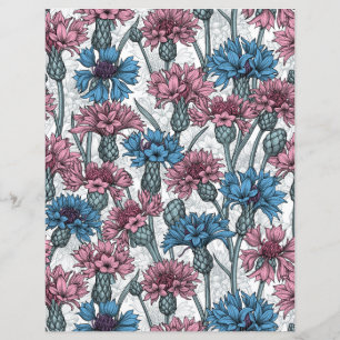 Papier Bleuet rose et bleu, fleurs sauvages sur fond blan