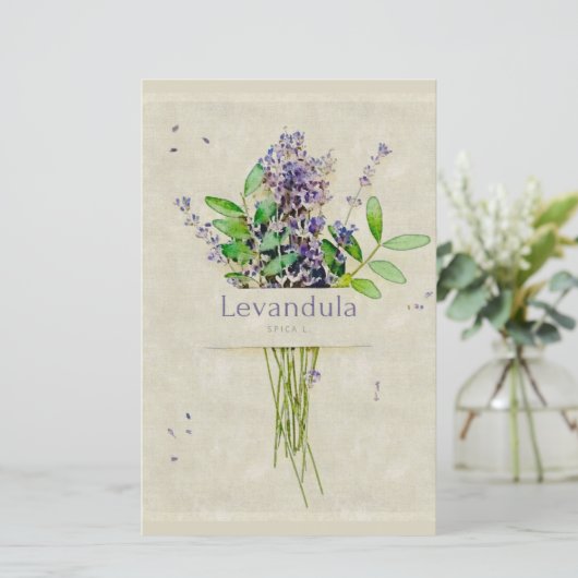Papier Bloc-notes Levandula spica l. (Debout devant)
