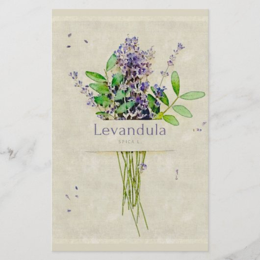 Papier Bloc-notes Levandula spica l. (Devant)