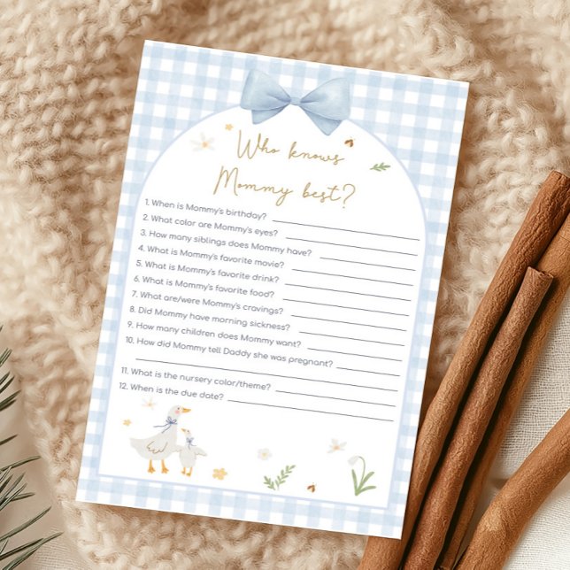 Papier Blue Gingham Silly Goose Shower Who Knows Game (silly Goose Baby Shower Game)