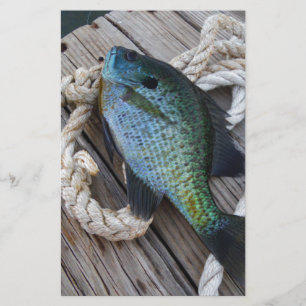 Papier bluegill sur quai