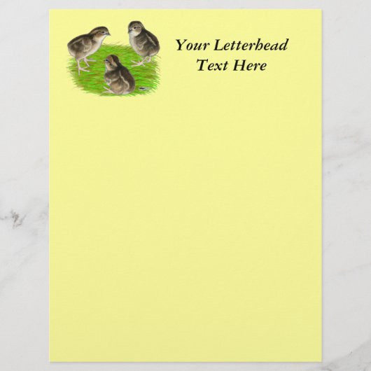 Papier Bobwhite Quail (Devant)