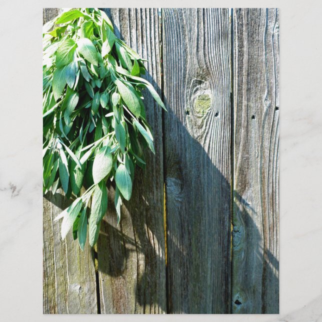 Papier Bois de Grange frais coupé (Devant)