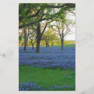 Papier Bonnets bleus du Texas