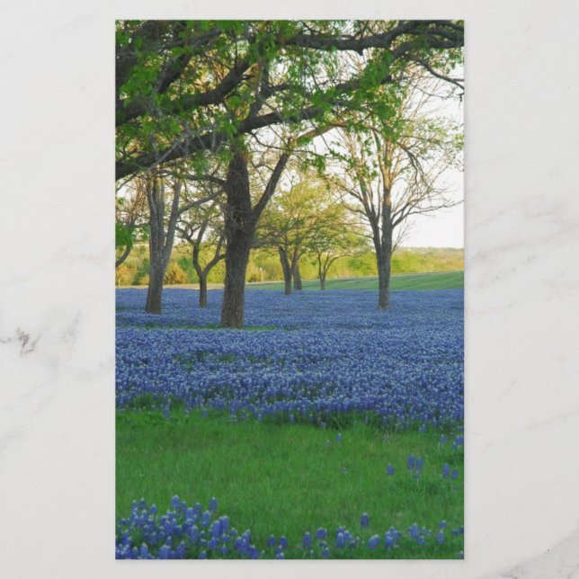 Papier Bonnets bleus du Texas (Devant)