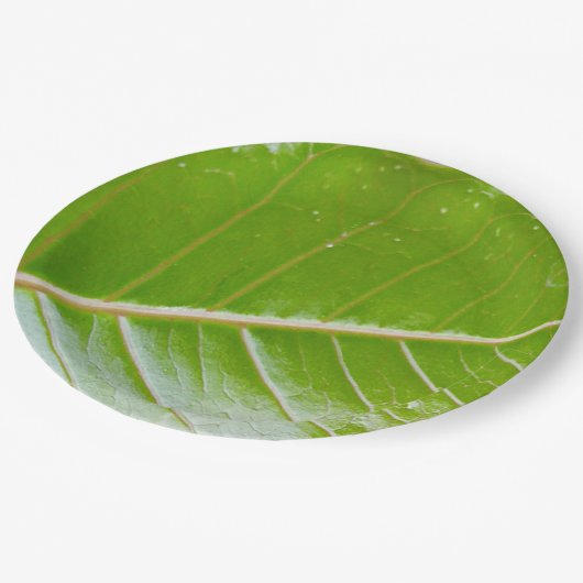 Papier Bord Design met Green Leaf (Gekanteld)