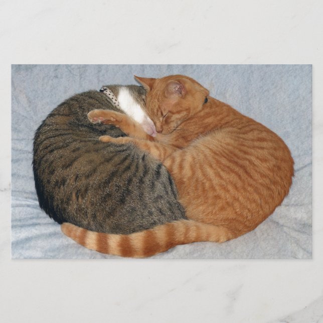 Papier Boule de la laideur (Devant)