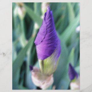 Papier bourgeon d'iris pourpre
