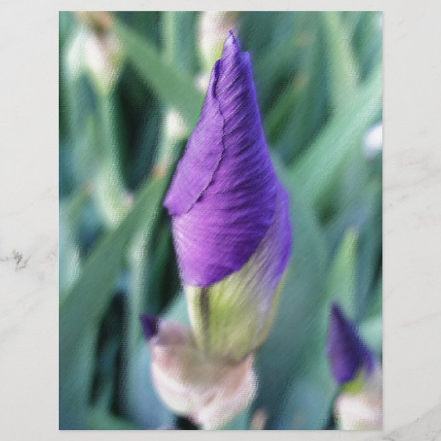 Papier bourgeon d'iris pourpre (Devant)