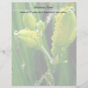 Papier bourgeons verts printaniers