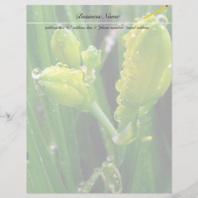 Papier bourgeons verts printaniers (Devant)