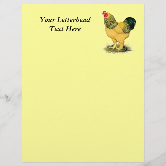 Papier Brahma : Rooster Buff (Devant)
