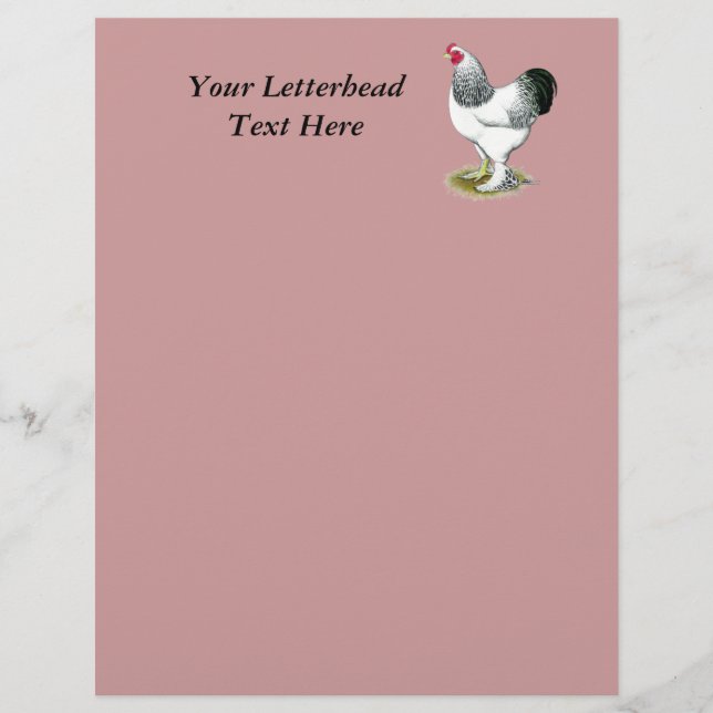 Papier Brahma : Rooster léger (Devant)