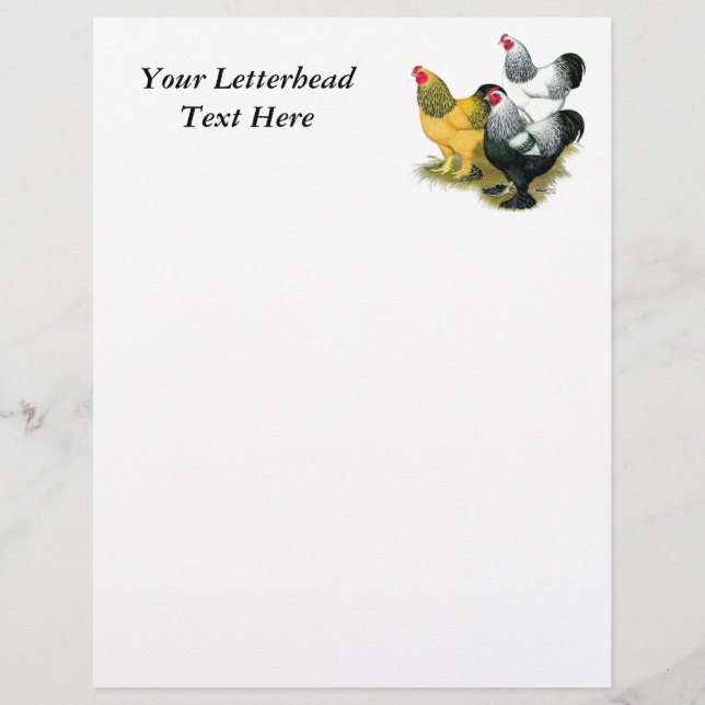 Papier Brahmas Three Roosters (Devant)