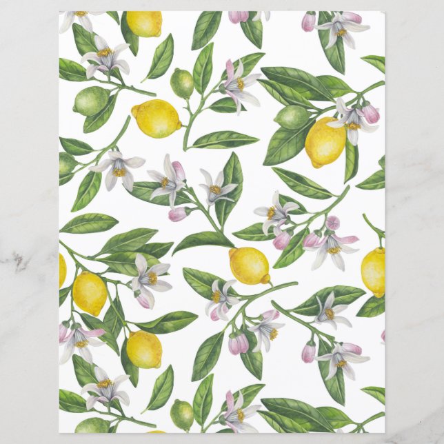 Papier Branches de citron avec fleurs et fruits sur blanc (Devant)