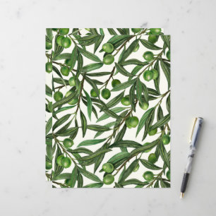 Papier Branches d'olivier sur fond blanc cassé