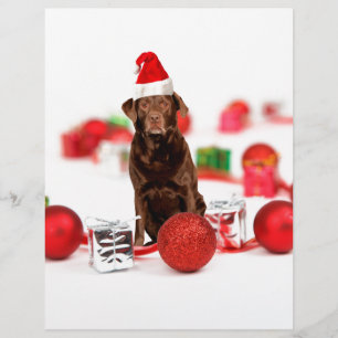 Papier Brown Labrador Chien Noël w Cadeaux Santa Hat