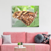 Papier Brown, toile (Insitu(Salon))