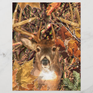 Papier Buck in Hunter Camo White Tail Deer