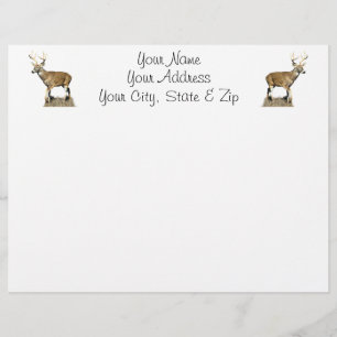 Papier Buck White Tailed