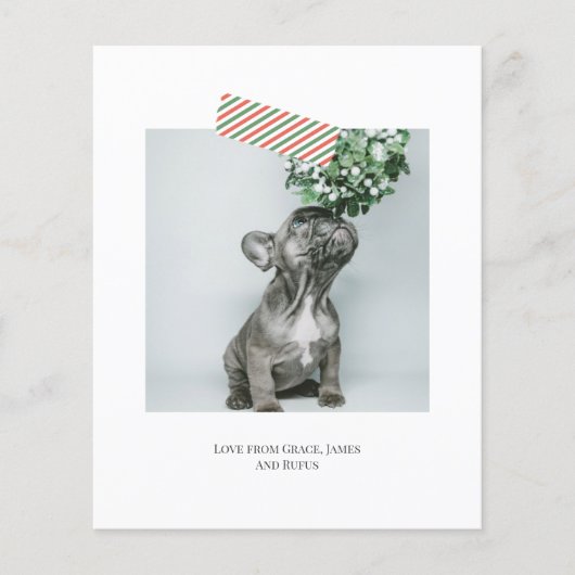 Papier Budget amusant Bande rayée Photo de Noël (Devant)