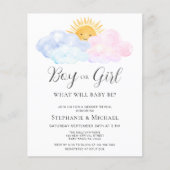 Papier Budget Blue And Pink Genre Reveillez Invitation (Devant)