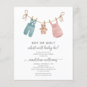 Papier BUDGET BOHO Vêtements de bébé Genre Révéler Douche (Devant)