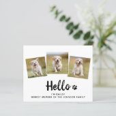 Papier Budget Bonjour Photo Chien Chien Chien Chien Nouve (Debout devant)