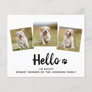 Papier Budget Bonjour Photo Chien Chien Chien Chien Nouve