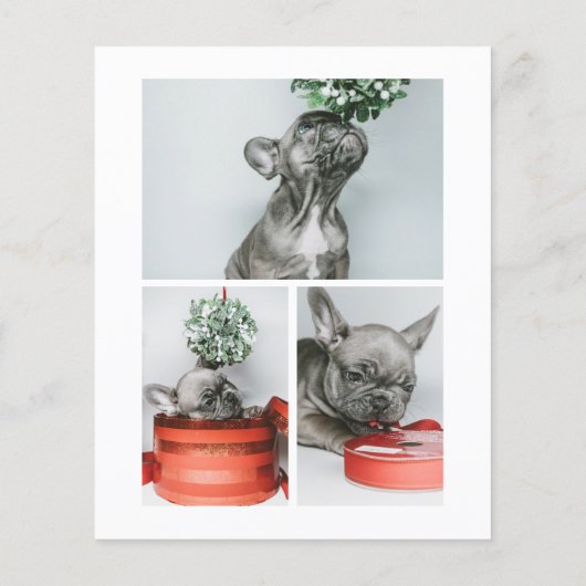 Papier BUDGET C'est une année difficile Noël de chien (Dos)