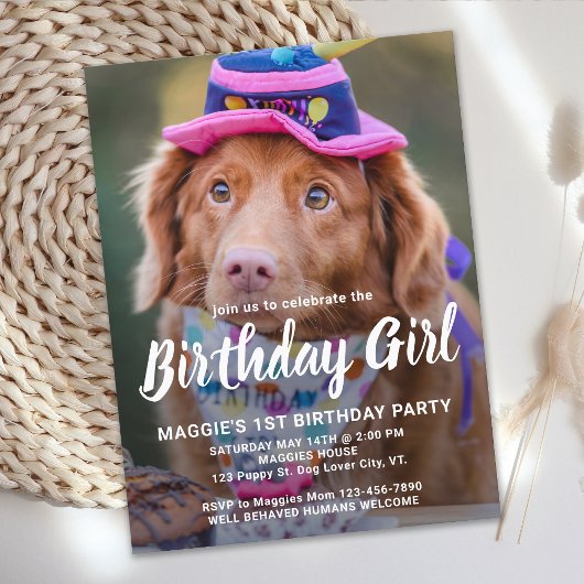 Papier Budget Chien Anniversaire Personnalisé Animaux de 