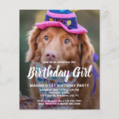 Papier Budget Chien Anniversaire Personnalisé Animaux de  (Devant)