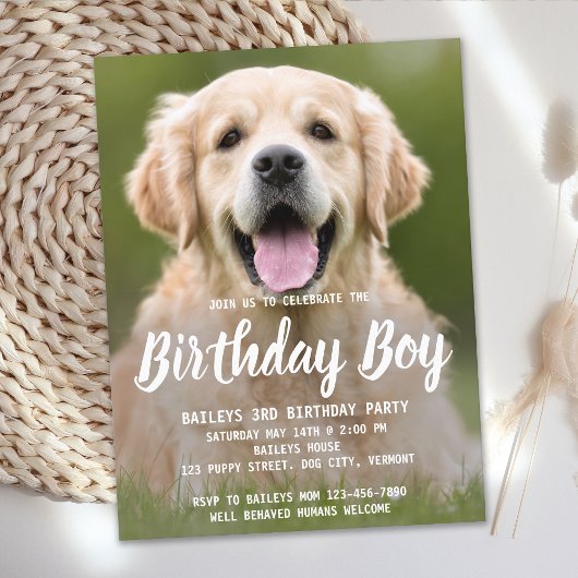 Papier Budget Chien Chien Chien Chien Anniversaire Fête A