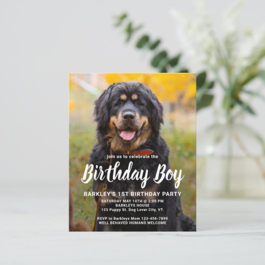 Papier Budget Chien Chien Chien Chien Anniversaire Person (Debout devant)