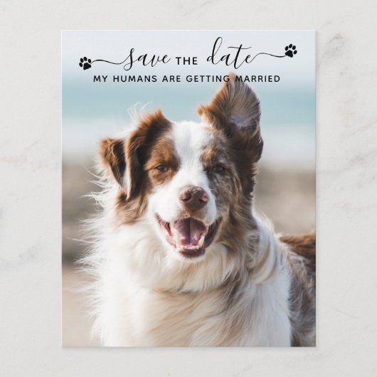 Papier Budget Chien Mariage Photo Animaux de compagnie En (Devant)