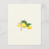 Papier Budget Citron Citrus Baby shower d'été Invitation (Dos)