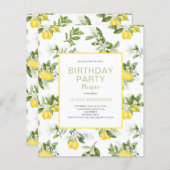 Papier Budget Citrus Citrus Anniversaire Pique-Nique Invi (Devant / Derrière)